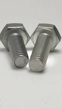 Stainless Steel 304 Bolts